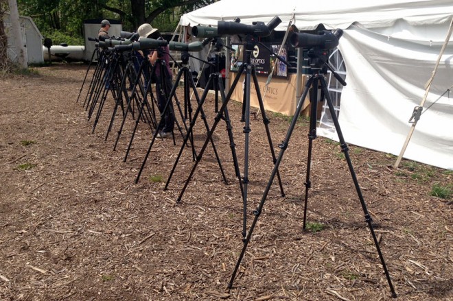 The scope line-up at Optics Alley