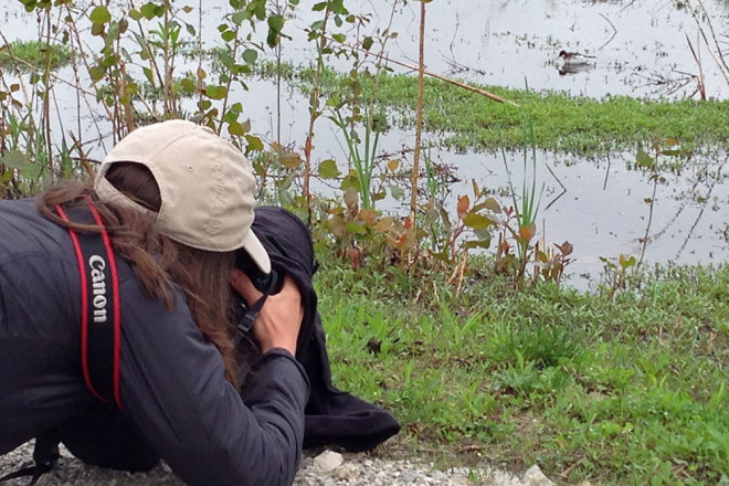 See the Red-necked Phalarope in the frame with me?