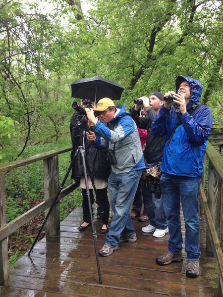 A little (ok.. a lot of) rain does not stop the birders!