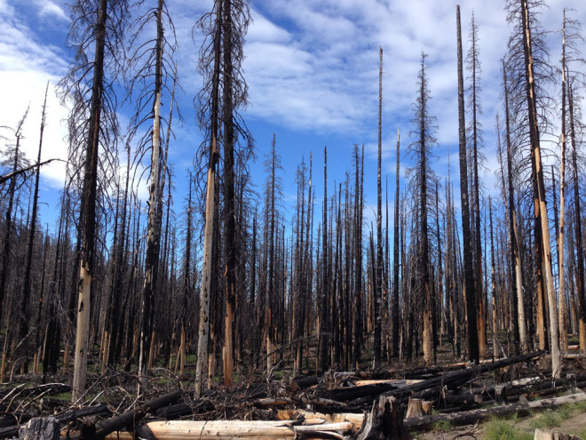 Cascade Creek Burn