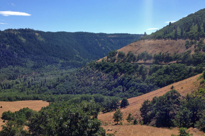 Driving along the Columbia River